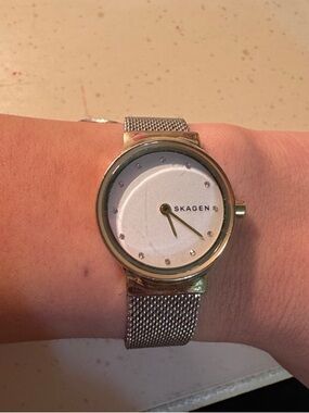 Skagen Silver Mesh Watch with White Dial and Gold Accents